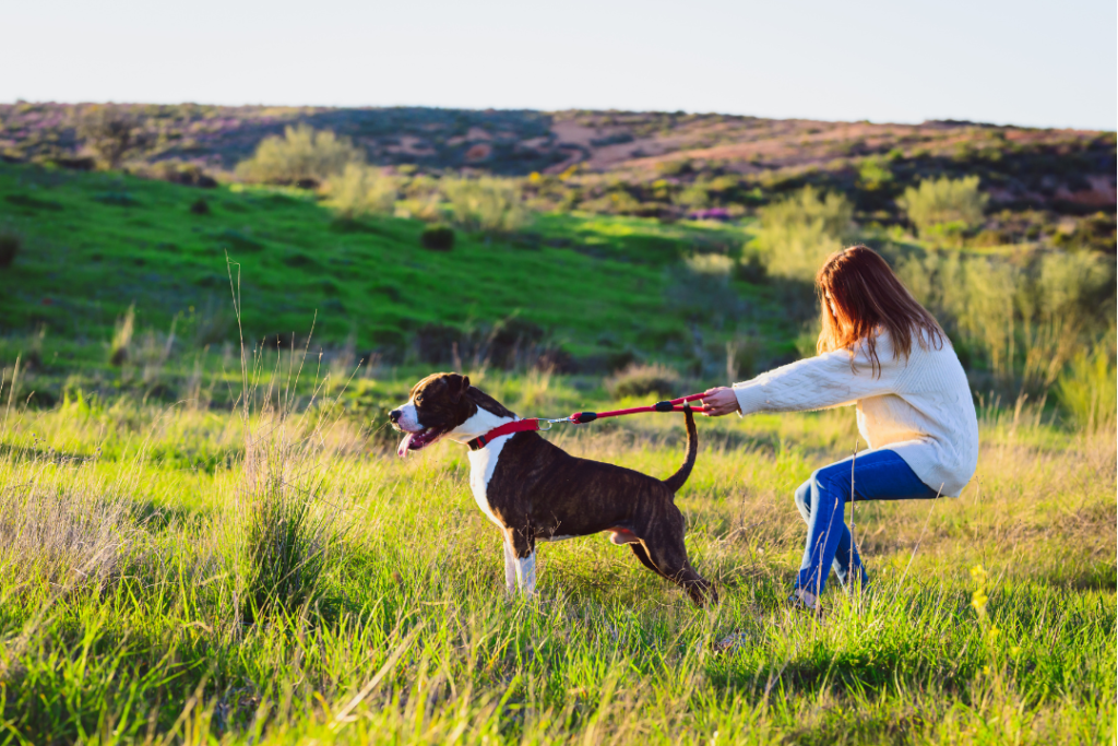 girl getting pulled by dog