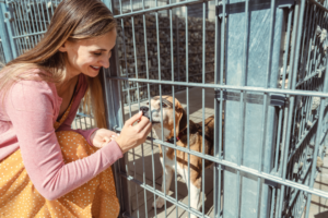 women petting a dog through a shelter cage