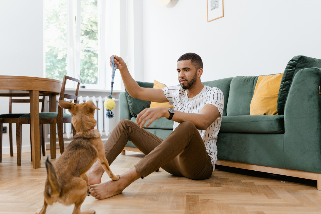 dog growls at husband