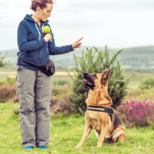 bubble dog trainer with german shepherd